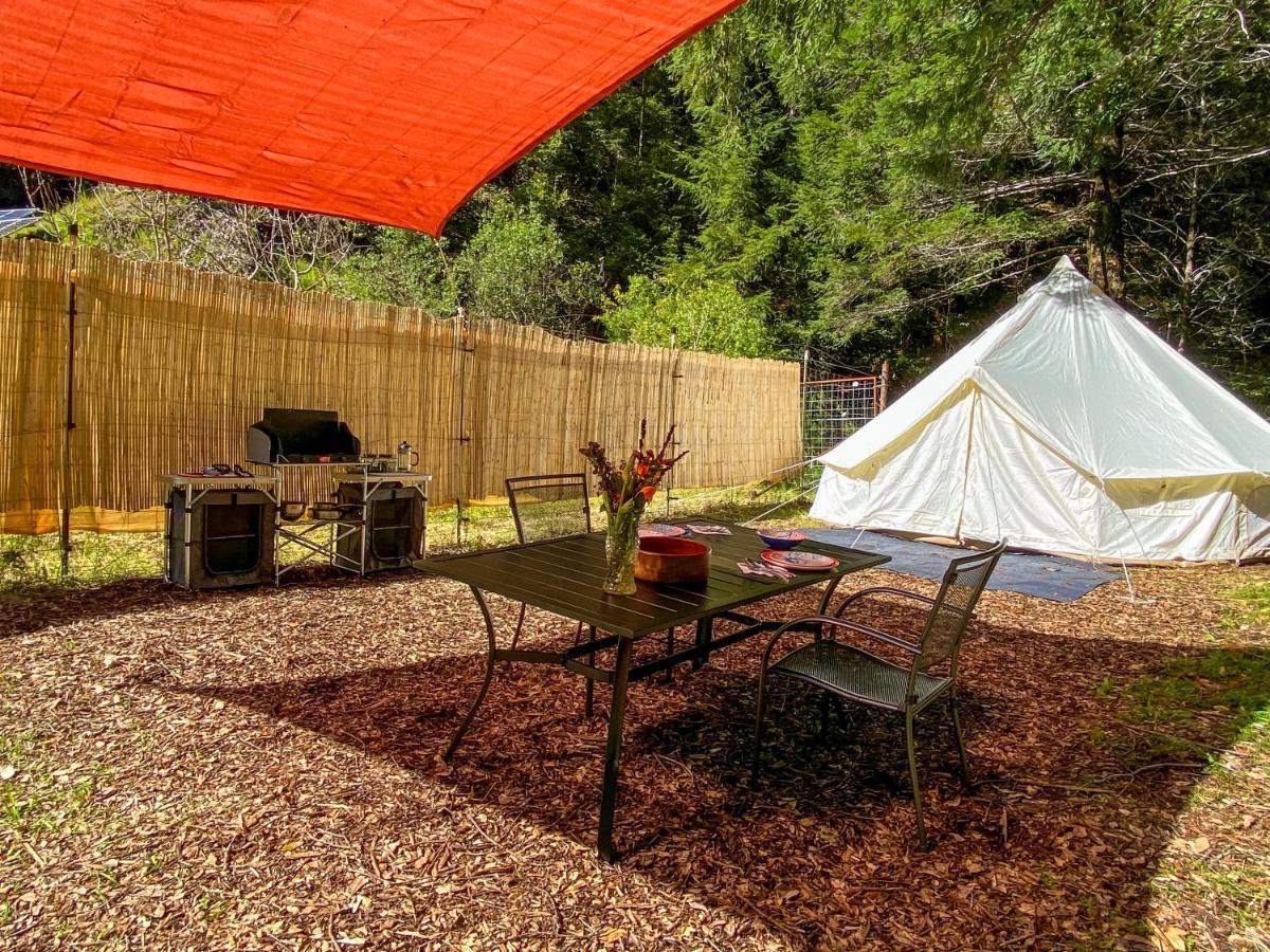 Hotel Glamping In The Redwoods With A Hot Tub! Garberville Exteriér fotografie