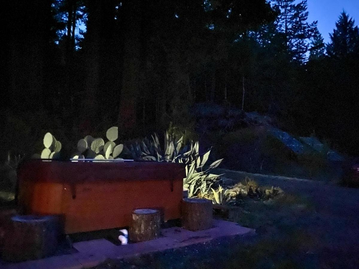 Hotel Glamping In The Redwoods With A Hot Tub! Garberville Exteriér fotografie