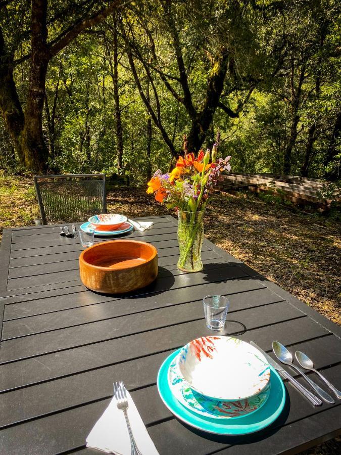 Hotel Glamping In The Redwoods With A Hot Tub! Garberville Exteriér fotografie