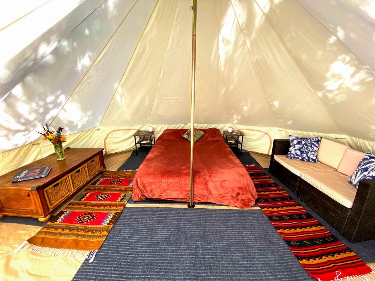 Hotel Glamping In The Redwoods With A Hot Tub! Garberville Exteriér fotografie