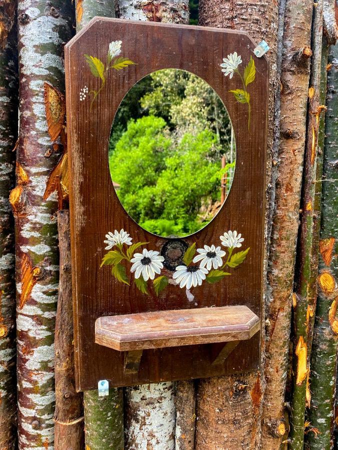 Hotel Glamping In The Redwoods With A Hot Tub! Garberville Exteriér fotografie